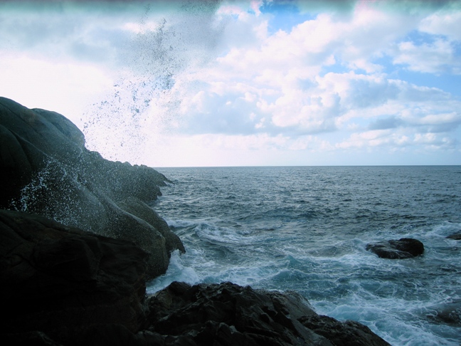 UZU SPORTS FISHING lab.(trip200801)